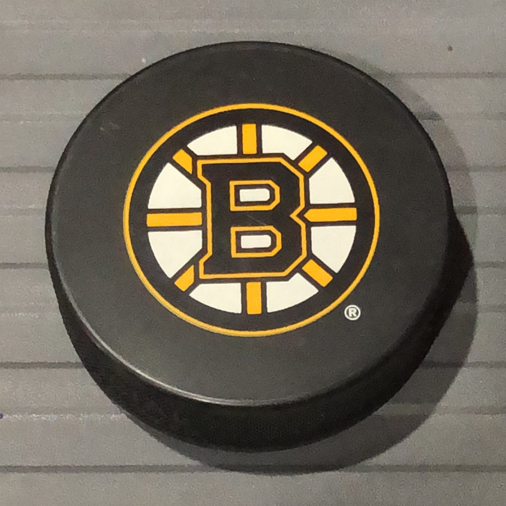 Nhl Bruins Hockey Puck
